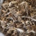 半开地龙个统装500g振兴药材购销站量大从优