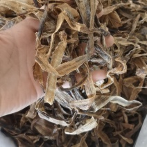 半开地龙个统装500g振兴药材购销站量大从优