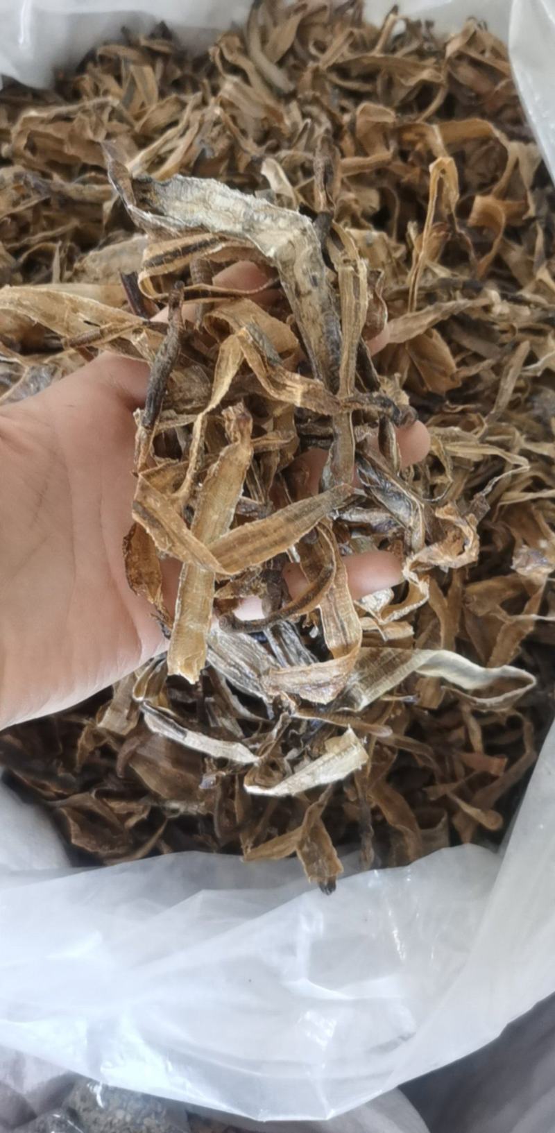 半开地龙个统装500g振兴药材购销站量大从优