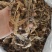 半开地龙个统装500g振兴药材购销站量大从优