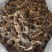 半开地龙个统装500g振兴药材购销站量大从优