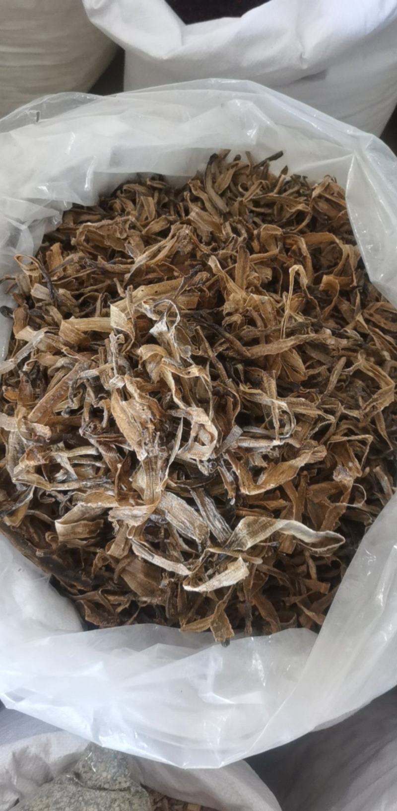 半开地龙个统装500g振兴药材购销站量大从优