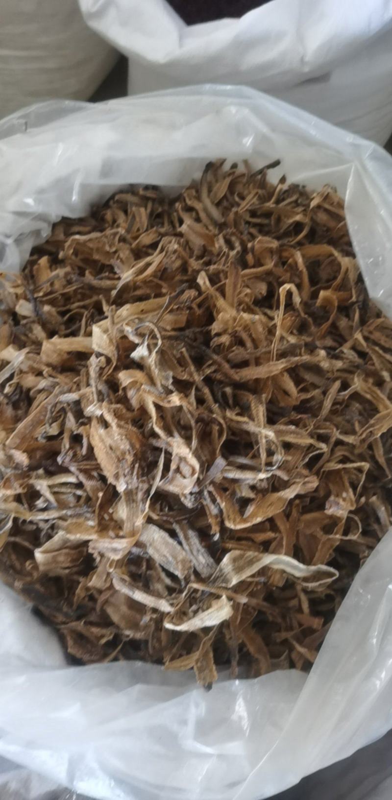 半开地龙个统装500g振兴药材购销站量大从优