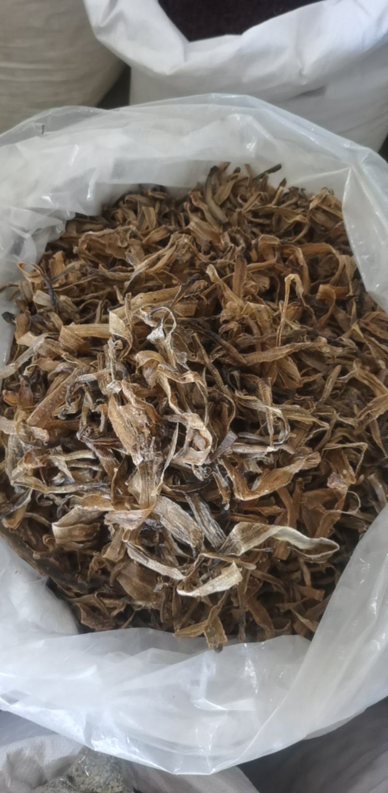 半开地龙个统装500g振兴药材购销站量大从优