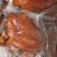熟食酱香猪耳卤猪耳朵真空全熟