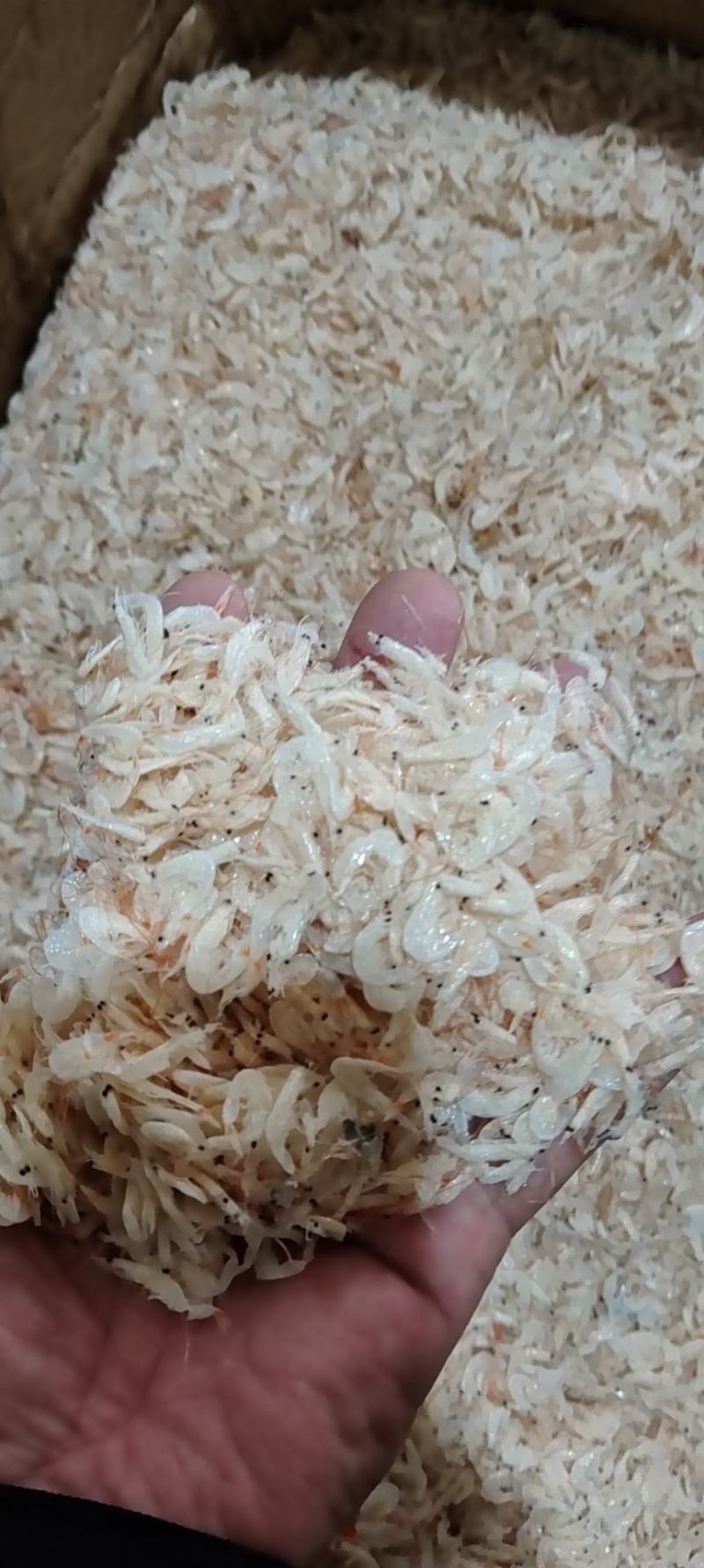 虾皮一件28斤，虾皮海鲜干货。货源充足。全国发货