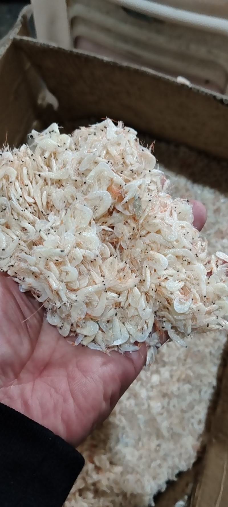 虾皮一件28斤，虾皮海鲜干货。货源充足。全国发货