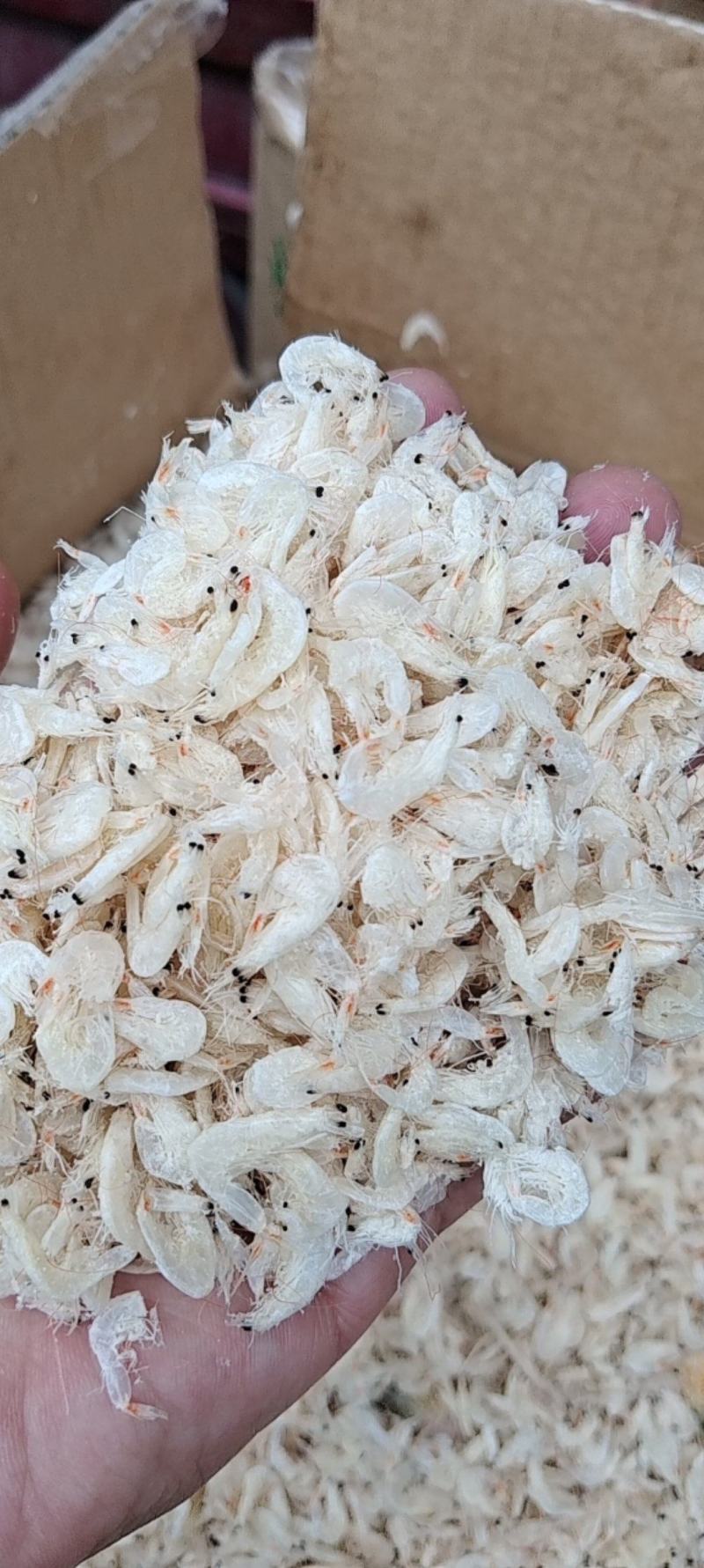 虾皮一件28斤，虾皮海鲜干货。货源充足。全国发货