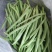 大红柿子代收各种精品寿光货，根茎类，茄果类，调味类。诚信
