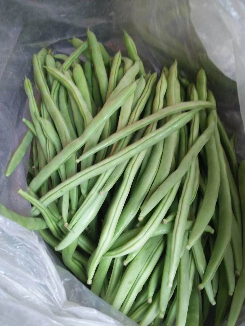 大红柿子代收各种精品寿光货，根茎类，茄果类，调味类。诚信