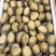 鲍鱼优质鲍鱼山东鲍鱼品质有保障欢迎选购
