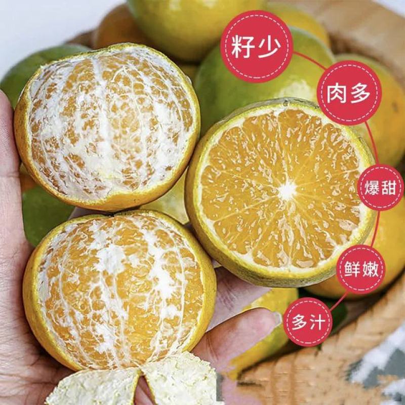 皇帝柑皇帝柑贡柑贡柑皮薄多汁清甜爽口全国发货大量供应