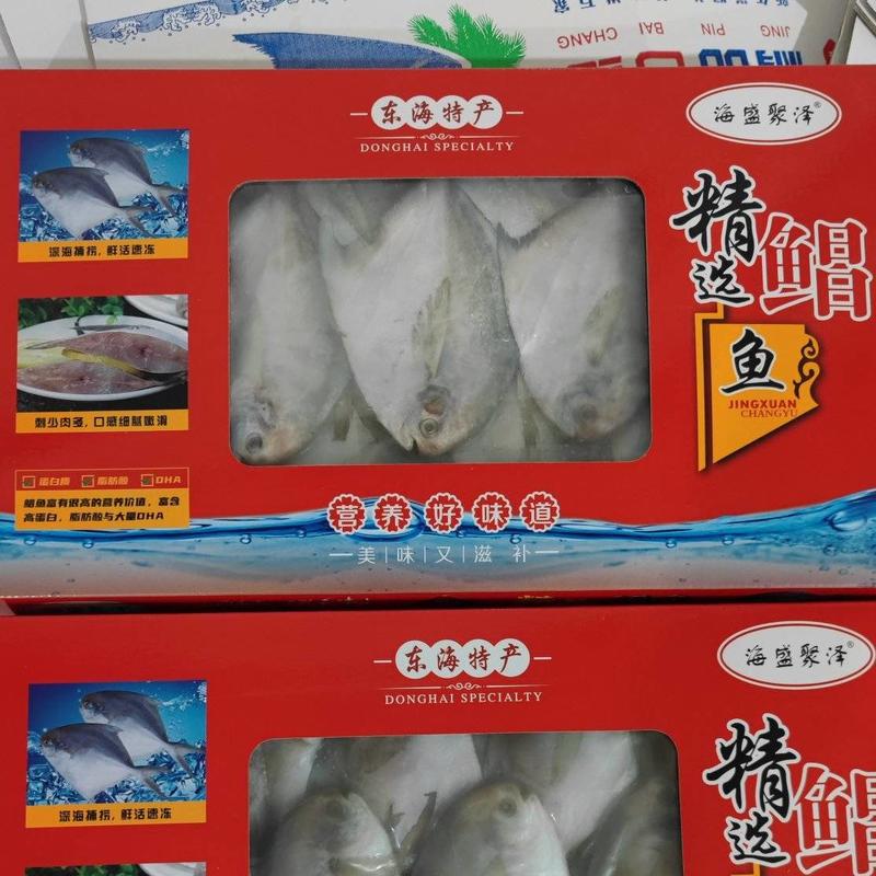 白鲳鲳鱼东海精品一手货源大量批发