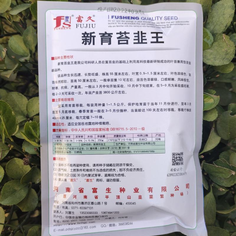 新育苔韭种子韭菜种籽韭菜苔富生耐寒高产抗病四季苔韭种子
