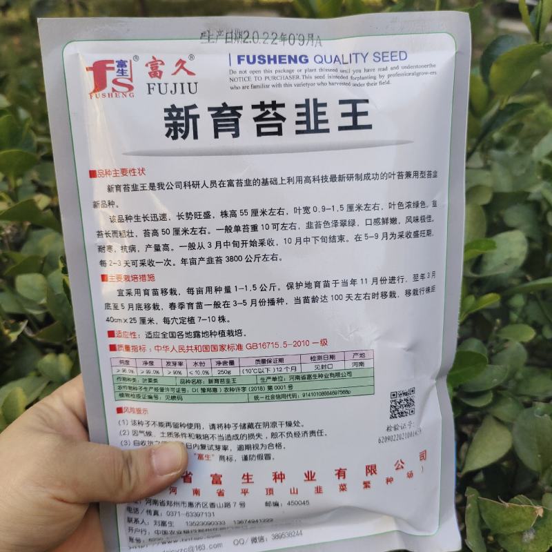 新育苔韭种子韭菜种籽韭菜苔富生耐寒高产抗病四季苔韭种子