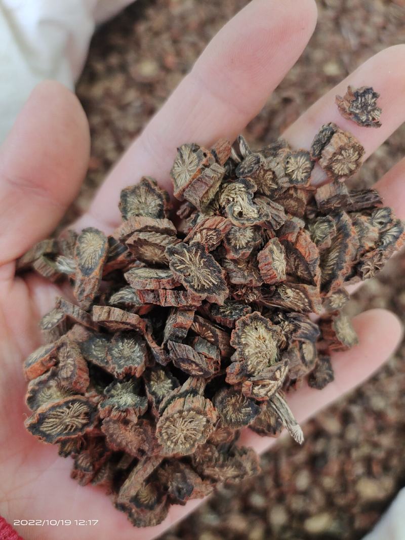 中药材紫丹参保证质量货源充足睿安中药材批发