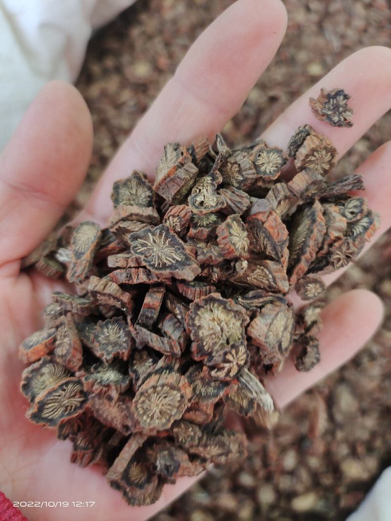 中药材紫丹参保证质量货源充足睿安中药材批发