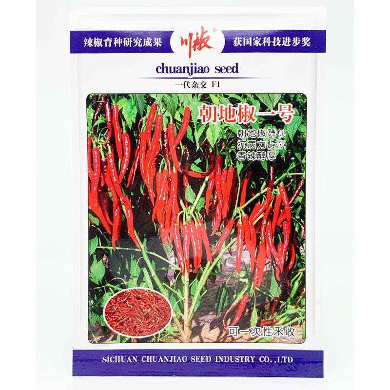 朝地椒一号辣椒种子高辣度高色素改良三鹰椒辣椒原装发货