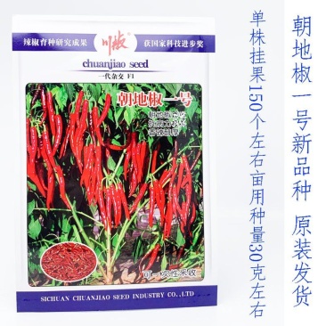 朝地椒一号辣椒种子高辣度高色素改良三鹰椒辣椒原装发货