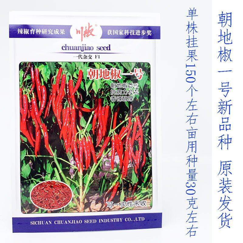 朝地椒一号辣椒种子高辣度高色素改良三鹰椒辣椒原装发货