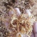 笋片笋丝笋花无任何添加剂，餐桌上的美味绿色食品