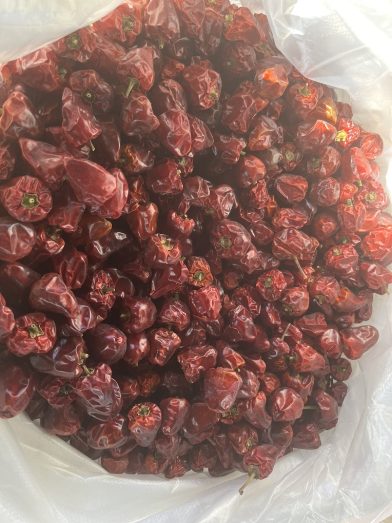 烘干灯笼椒，草莓椒，十成干，亮度高，无杂志