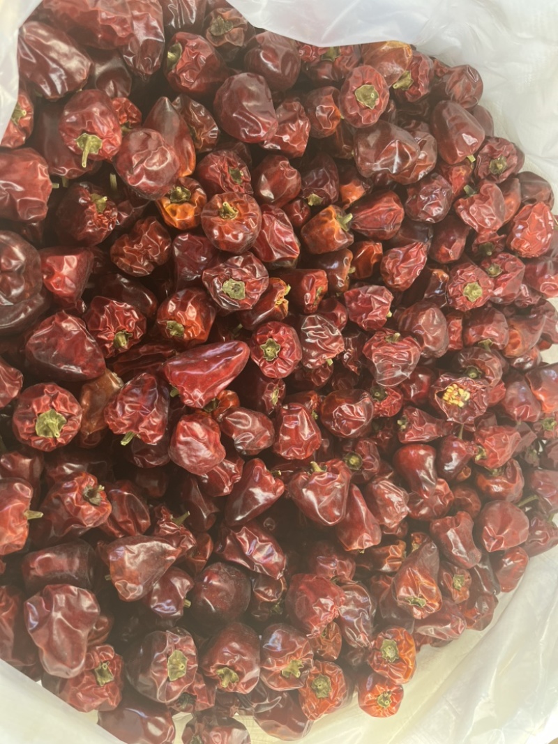 烘干灯笼椒，草莓椒，十成干，亮度高，无杂志