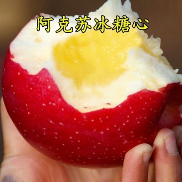 新疆阿克苏冰糖心苹果树苗嫁接苗特大苹果苗盆栽地栽南方北方