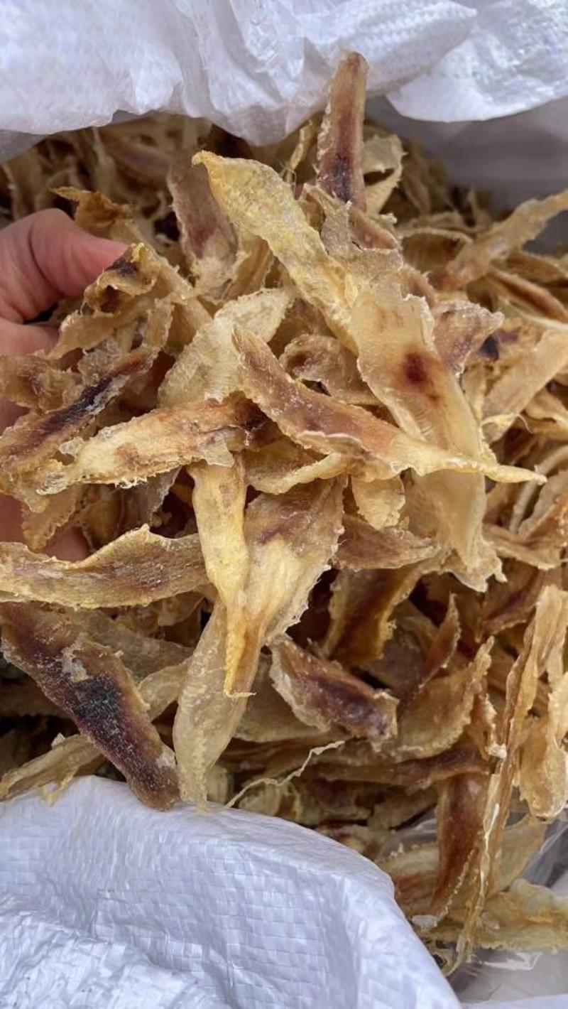 小土鳖鱼胶优质鱼胶质量保障价格公道量大价优