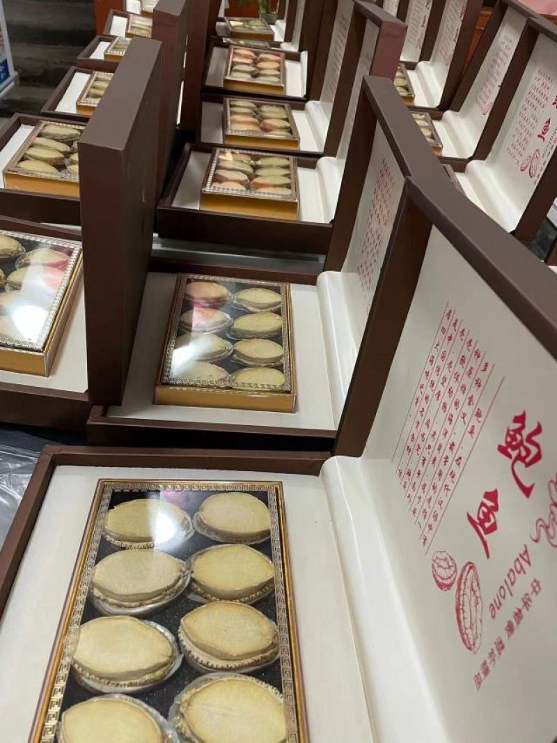 鲍鱼优质鲍鱼山东鲍鱼品质有保障欢迎选购