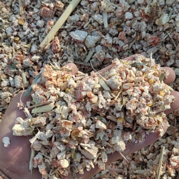 玉米芯颗粒出售，可包装，适合各种养殖，种植，可以压缩包