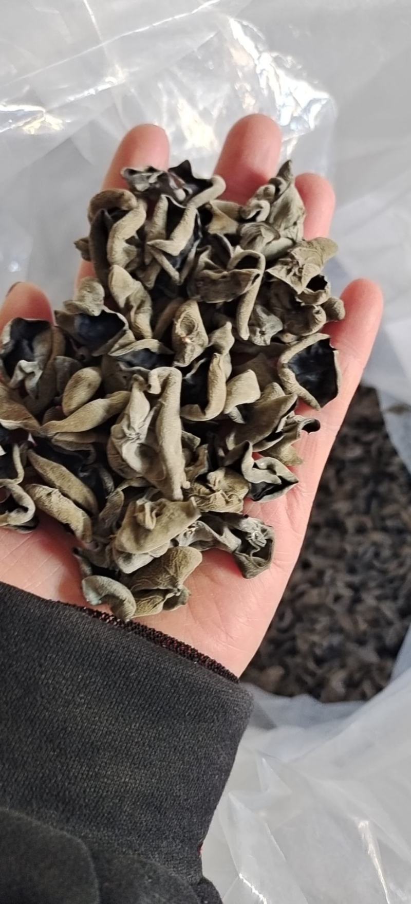 小碗秋耳