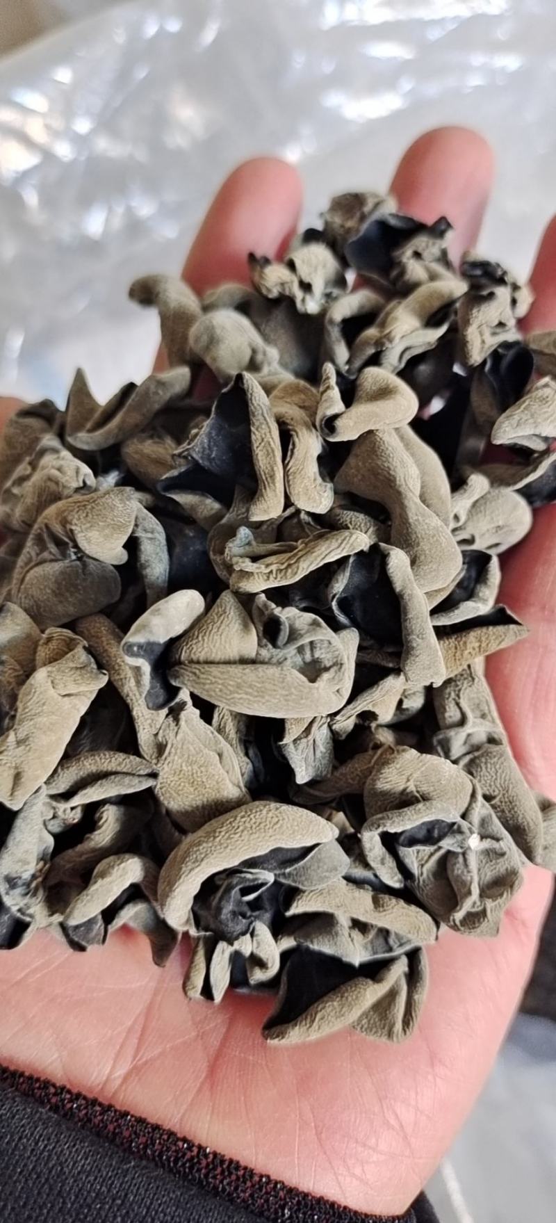 小碗秋耳