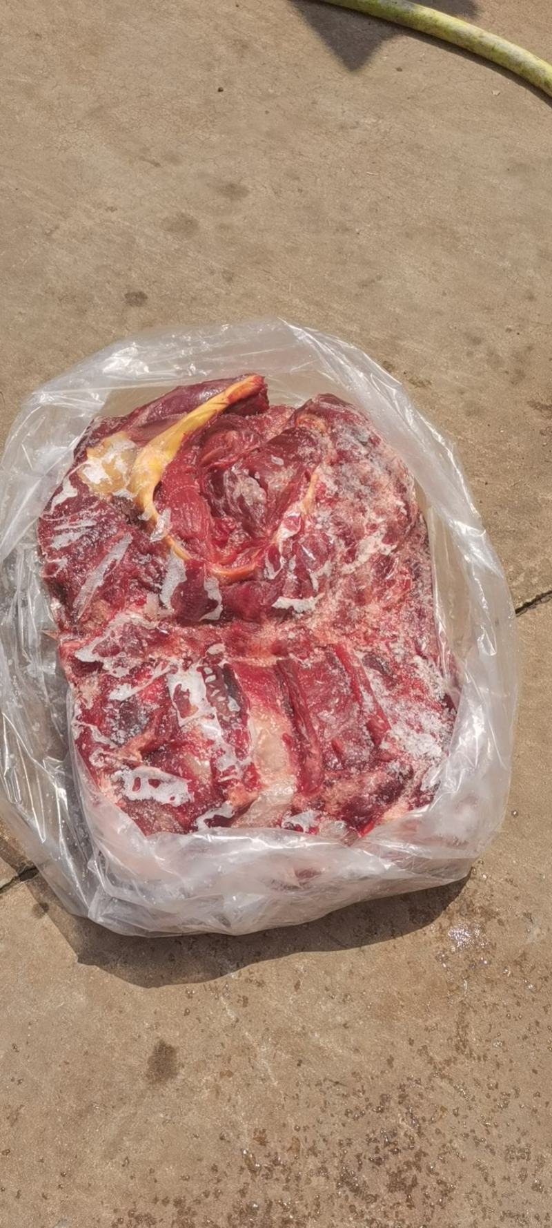 国产鲜冻牛肉纯一手货源品质保证诚信经营欢迎联系一手货