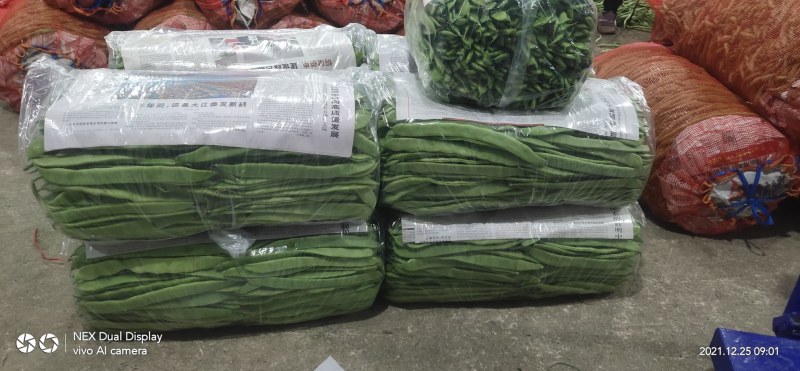 青椒，泡椒，龙椒，钱椒，小米辣，苦瓜，黄瓜，生黄……等等