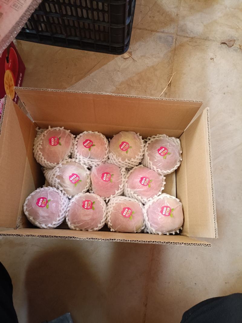 新疆阿克苏冰糖心苹果，产地代采代购，对接市场商超电商团购