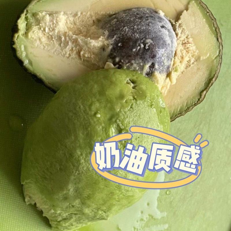牛油果种子苗接穗嫁接苗当年结果带土带叶四季全年种植果