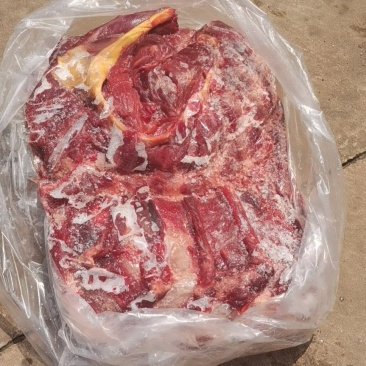 国产鲜冻牛肉纯一手货源品质保证诚信经营欢迎联系一手货