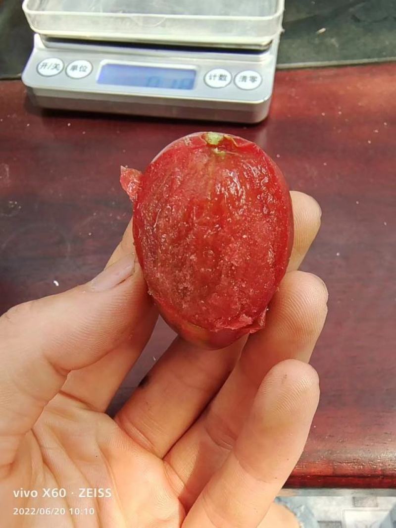 包邮，迷彩——身穿迷彩，沙瓤口感，苗厂直发，可以试种！