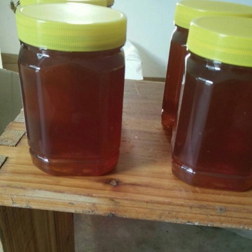 深山土蜂蜜一年只采一次。