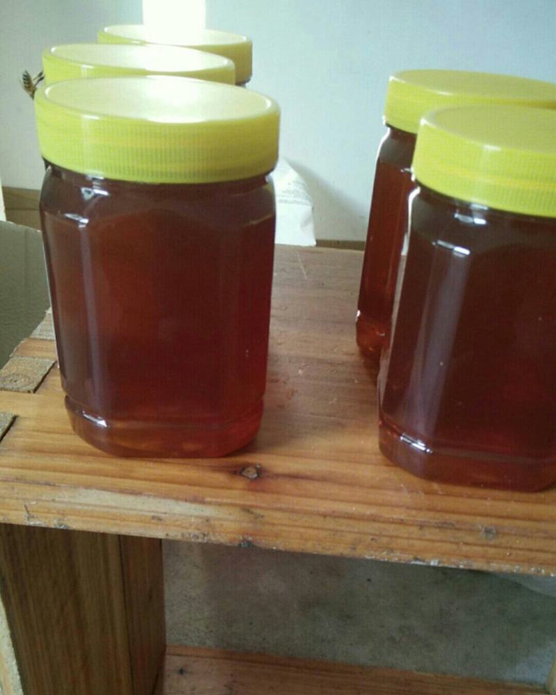 深山土蜂蜜一年只采一次。