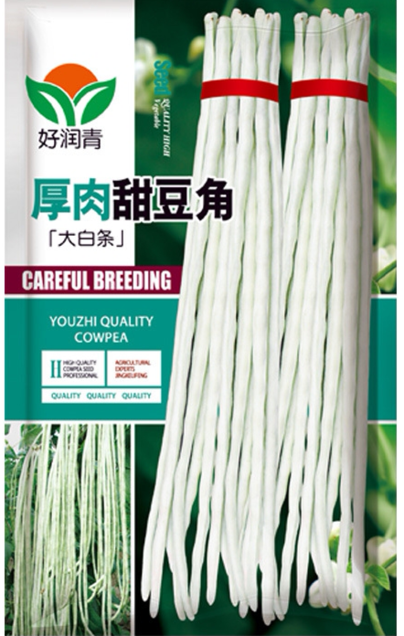 厚肉白豇豆种子大白长雪豇粗长肉厚洁白高产耐高低温