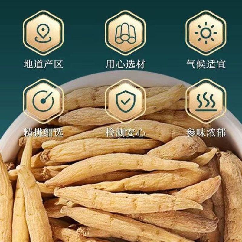2022年九月新采收太子参种子中药材太子参孩儿参基地育种