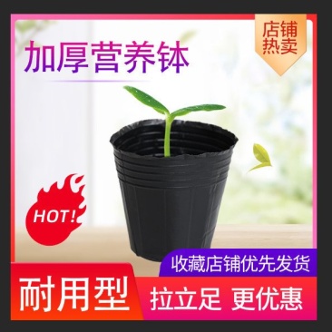 育苗带大号播种植塑料育苗盆营养杯果树蔬菜育苗袋