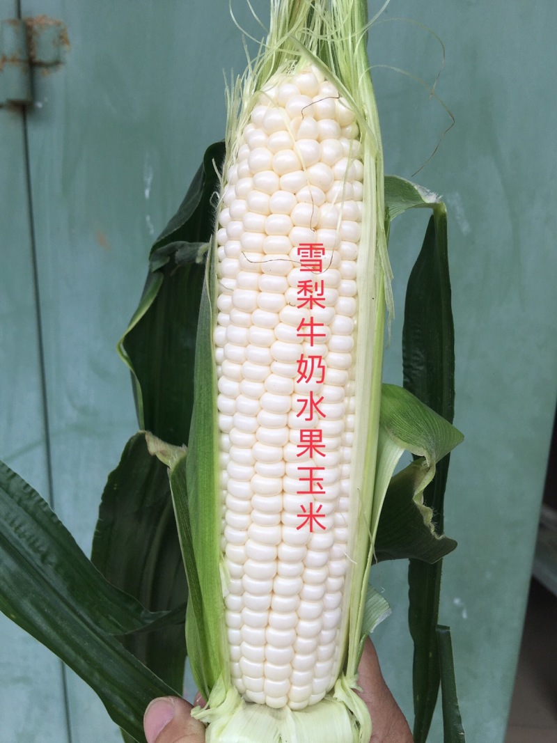 牛奶水果玉米