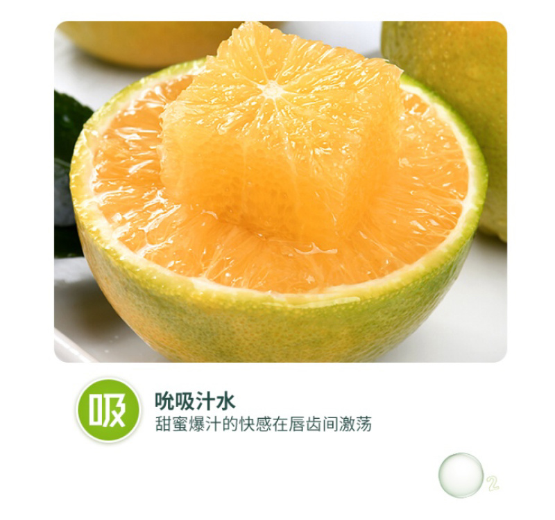 海南琼中绿橙自家千亩橙园，欢迎整车对接，商超社区团市场