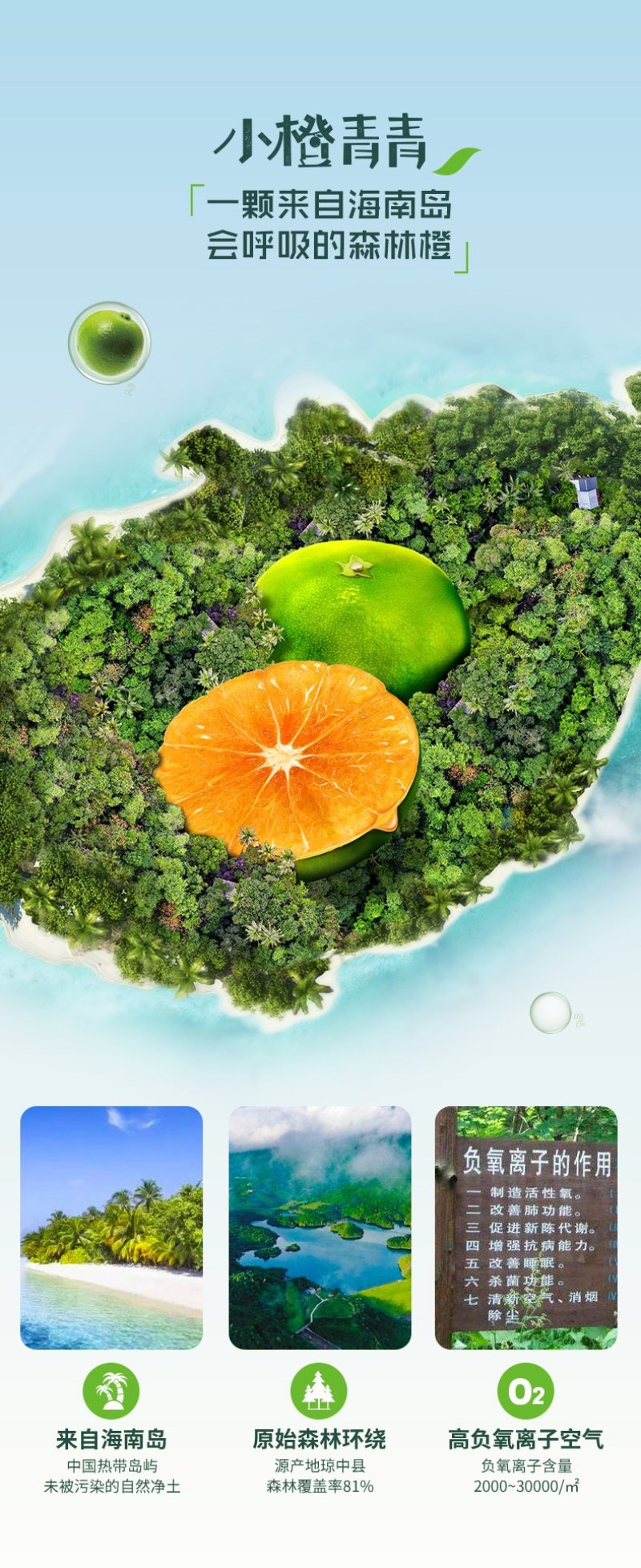 海南琼中绿橙自家千亩橙园，欢迎整车对接，商超社区团市场