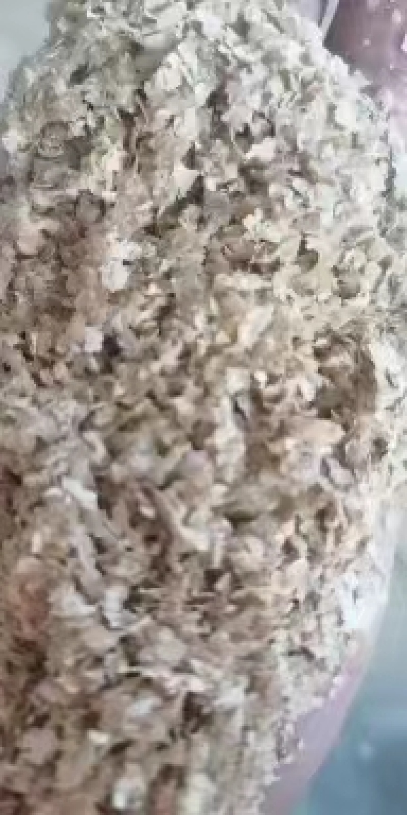 大片麦麸纯麦精品麸皮源头厂家质量保证欢迎来电。