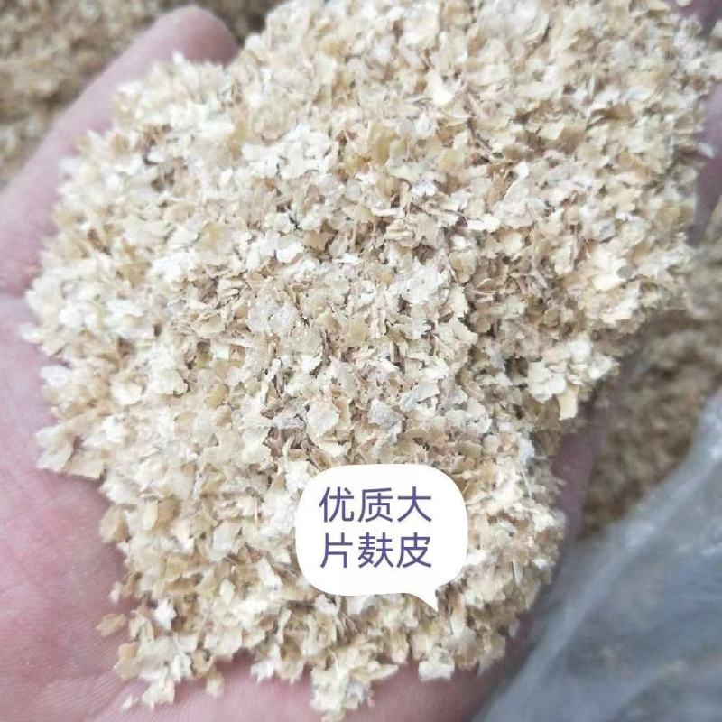 大片麦麸纯麦精品麸皮源头厂家质量保证欢迎来电。