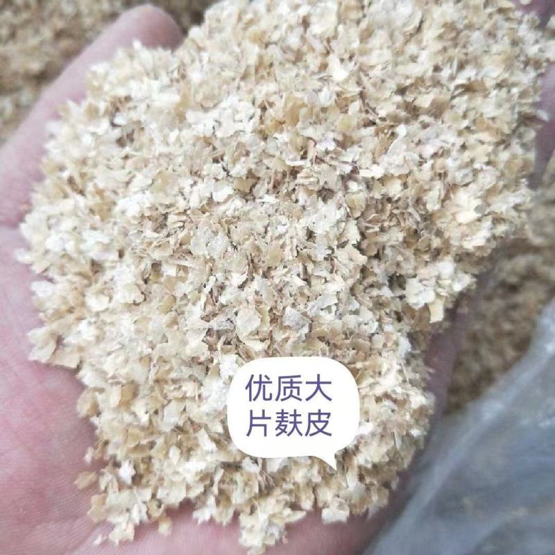 大片麦麸纯麦精品麸皮源头厂家质量保证欢迎来电。